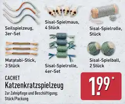 Aldi Nord CACHET Katzenkratzspielzeug Angebot