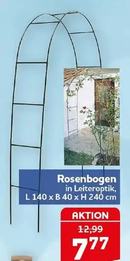 CENTERSHOP Rosenbogen in Leiteroptik Angebot