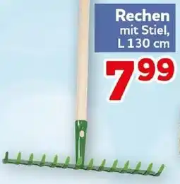 CENTERSHOP Rechen mit Stiel Angebot