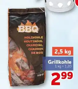 CENTERSHOP BBQ Grillkohle Angebot