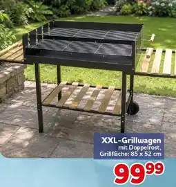 CENTERSHOP XXL-Grillwagen mit Doppelrost Angebot