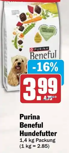 HIT Purina Beneful Hundefutter Angebot