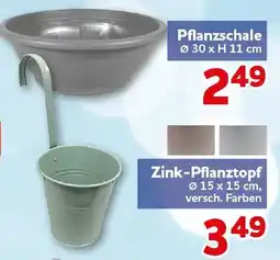 CENTERSHOP Pflanzschale Angebot