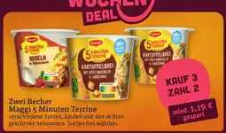 tegut Maggi 5 Minuten Terrine Angebot