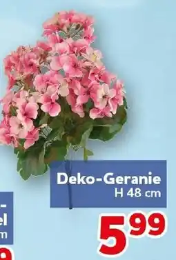 CENTERSHOP Deko-Geranie Angebot