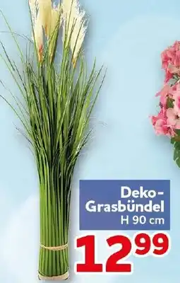 CENTERSHOP Deko-Grasbündel Angebot