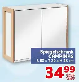 CENTERSHOP Spiegelschrank CAMPINAS Angebot