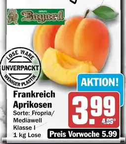 AEZ Bayard Aprikosen Angebot