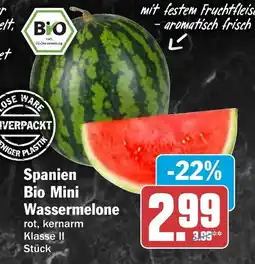 AEZ Bio Mini Wassermelone Angebot