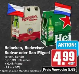 AEZ Heineken, Budweiser Budvar oder San Miguel Angebot