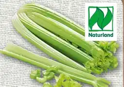 nahkauf Rewe Bio Staudensellerie Angebot