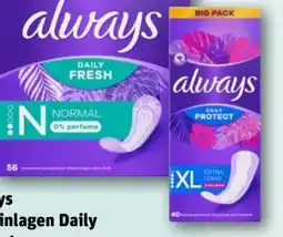 nahkauf Always Slipeinlagen Daily Protect XL Angebot