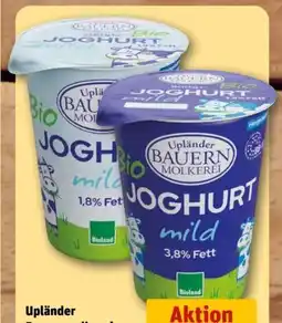 REWE Center Upländer Bauern Molkerei Bio Joghurt Natur Angebot