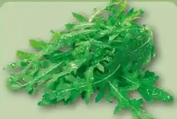 REWE Center Rucola Angebot