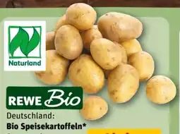 REWE Center Rewe Bio Bio-Speisekartoffeln Angebot