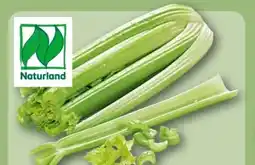 REWE Center Rewe Bio Staudensellerie Angebot
