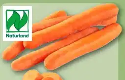 REWE Center Rewe Bio Bio-Speisemöhren Angebot