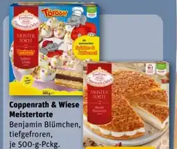 REWE Center Coppenrath & Wiese Meistertorte Benjamin Blümchen Angebot