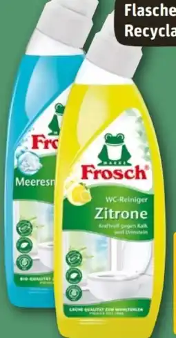 REWE Center Frosch Zitronen WC-Reiniger Angebot