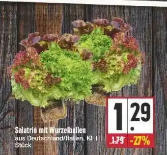 Edeka Salatrio Mit Wurzelballen Angebot