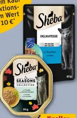 REWE Center Sheba Katzenfutter Angebot