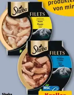 REWE Center Sheba Katzennassfutter Angebot