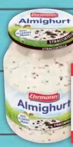 E-Center Ehrmann Almighurt Angebot