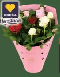 E-Center Edeka Herzstücke Topfrose Summer Trio Angebot
