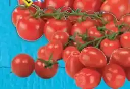 E-Center Cherry Rispentomaten Angebot