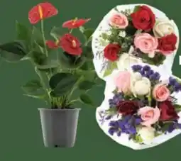 E-Center Rosenstrauß Angebot