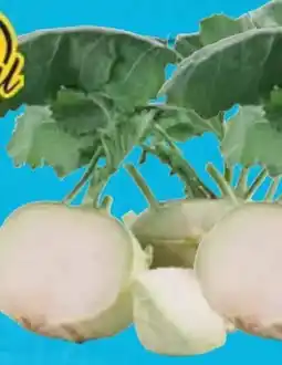 E-Center Kohlrabi Angebot