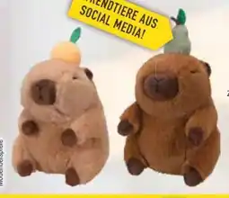 E-Center Xtrem Toys+Sports Plüsch-Capybara Angebot
