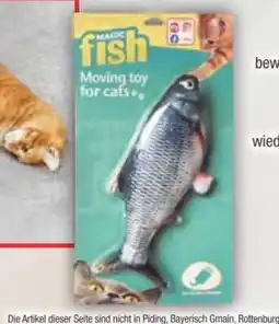 E-Center Katzenspielzeug Magic Fish Angebot