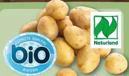 REWE Center Bio-Speisekartoffeln Angebot