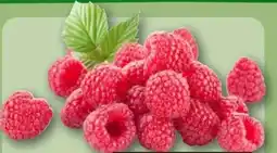 REWE Center Himbeeren Angebot