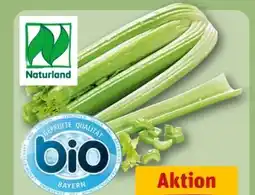 REWE Center Bio Staudensellerie Angebot