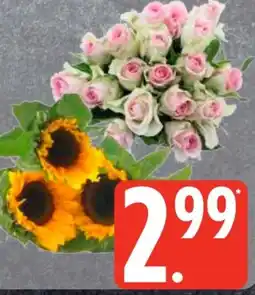 Edeka Frischemarkt Moosrosen Angebot