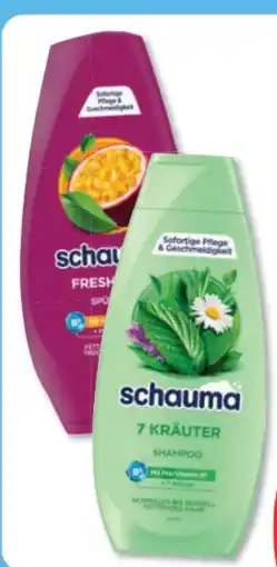 Budni Schwarzkopf Schauma Shampoo Angebot