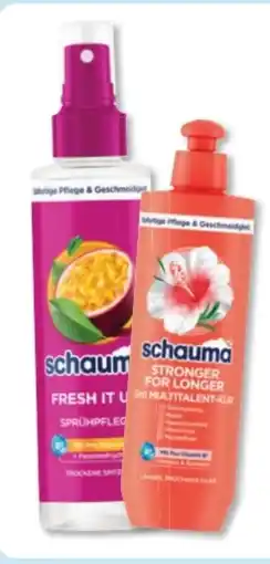 Budni Schwarzkopf Schauma Sprühpflege Angebot