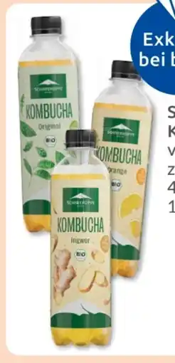 Budni Schneekoppe Bio Kombucha Angebot