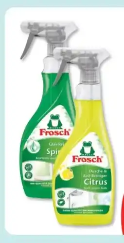 Budni Frosch Glas-Reiniger Angebot