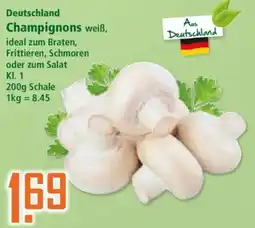 Klaas und Kock Champignons weiß Angebot