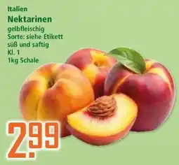 Klaas und Kock Nektarinen Angebot