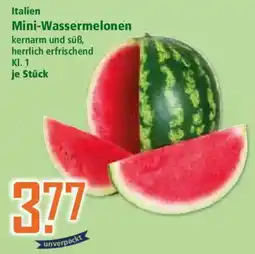 Klaas und Kock Mini-Wassermelonen Angebot
