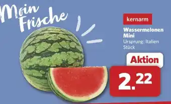 Combi kernarm Wassermelonen Mini Angebot