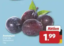 Combi Zwetschgen Angebot