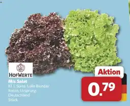 Combi HOFWERTE Mix Salat Angebot