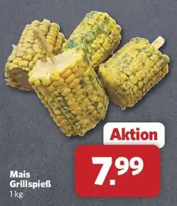 Combi Mais Grillspieß Angebot