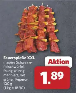 Combi Feuerspieße XXL Angebot