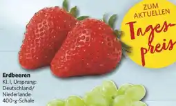 Combi Erdbeeren Angebot